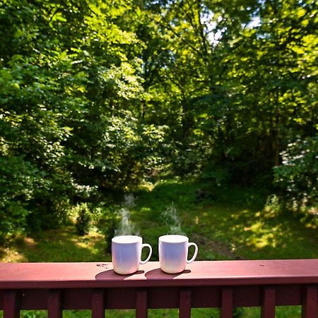 Smoky Mountains Hut Tub Cabin Dog Friendly سيفيرفيل المظهر الخارجي الصورة