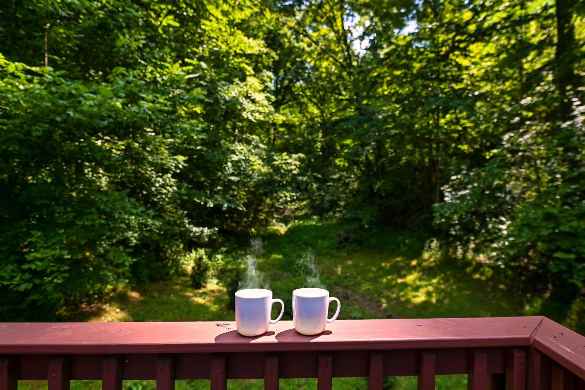 Smoky Mountains Hut Tub Cabin Dog Friendly سيفيرفيل المظهر الخارجي الصورة