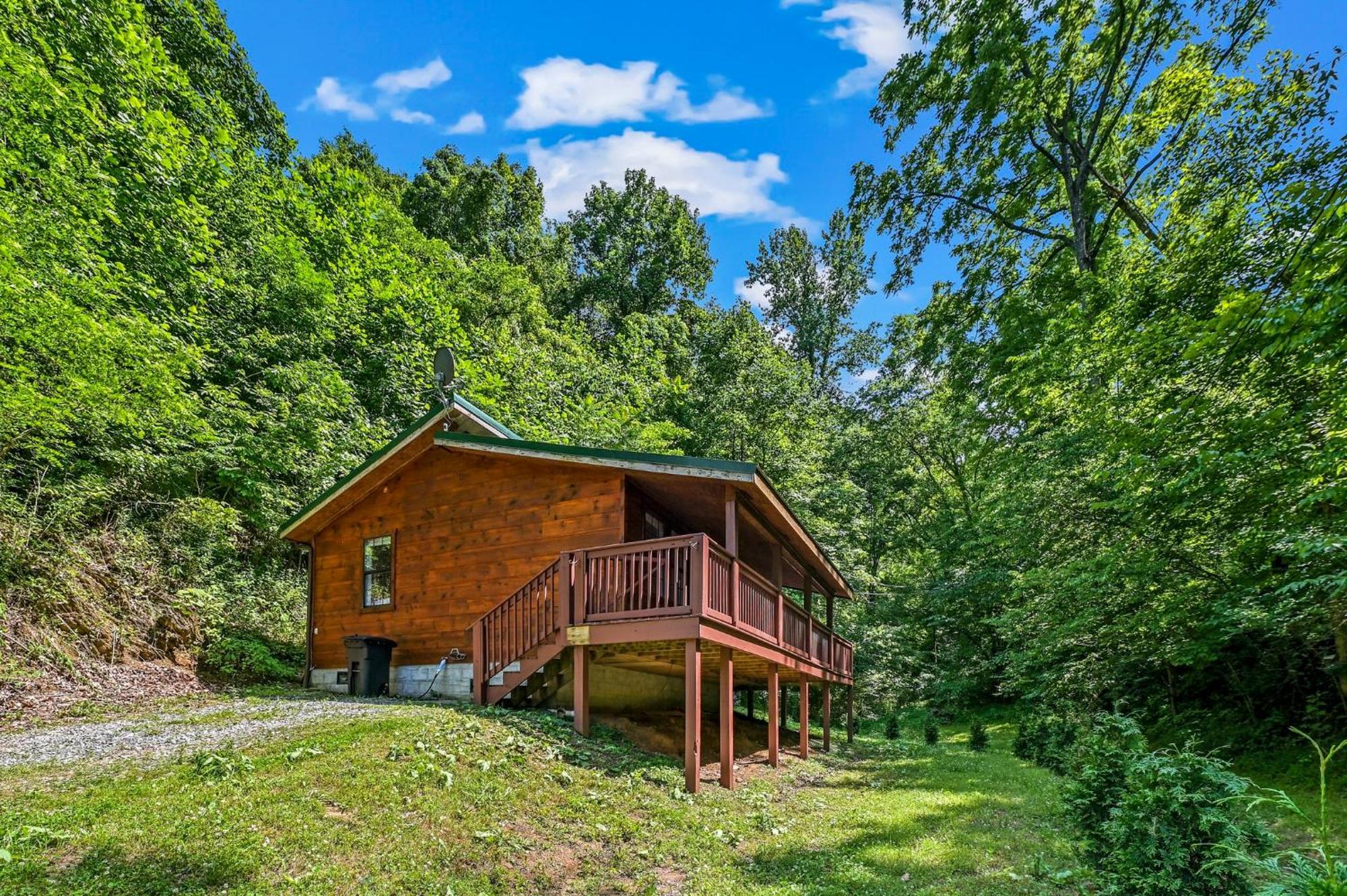 Smoky Mountains Hut Tub Cabin Dog Friendly سيفيرفيل المظهر الخارجي الصورة